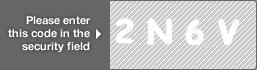 captcha code for visual authentication  number 2 letter N number 6 letter V