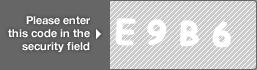 captcha code for visual authentication  letter E number 9 letter B number 6